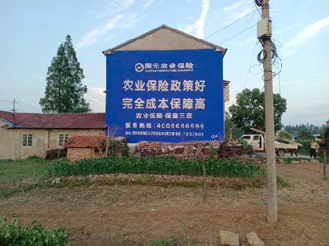 佳县墙体广告为何受追捧？